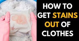 How to Get Mold Out of Carpet: A Step By Step Guide - StylePersuit