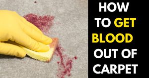 How to Get Blood Out of Carpet (3 Effective Blood Stain Removals
