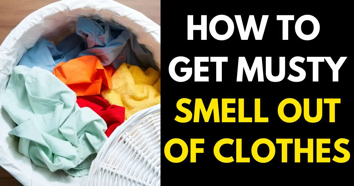 HOW TO GET MUSTY SMELL OUT OF CLOTHES 