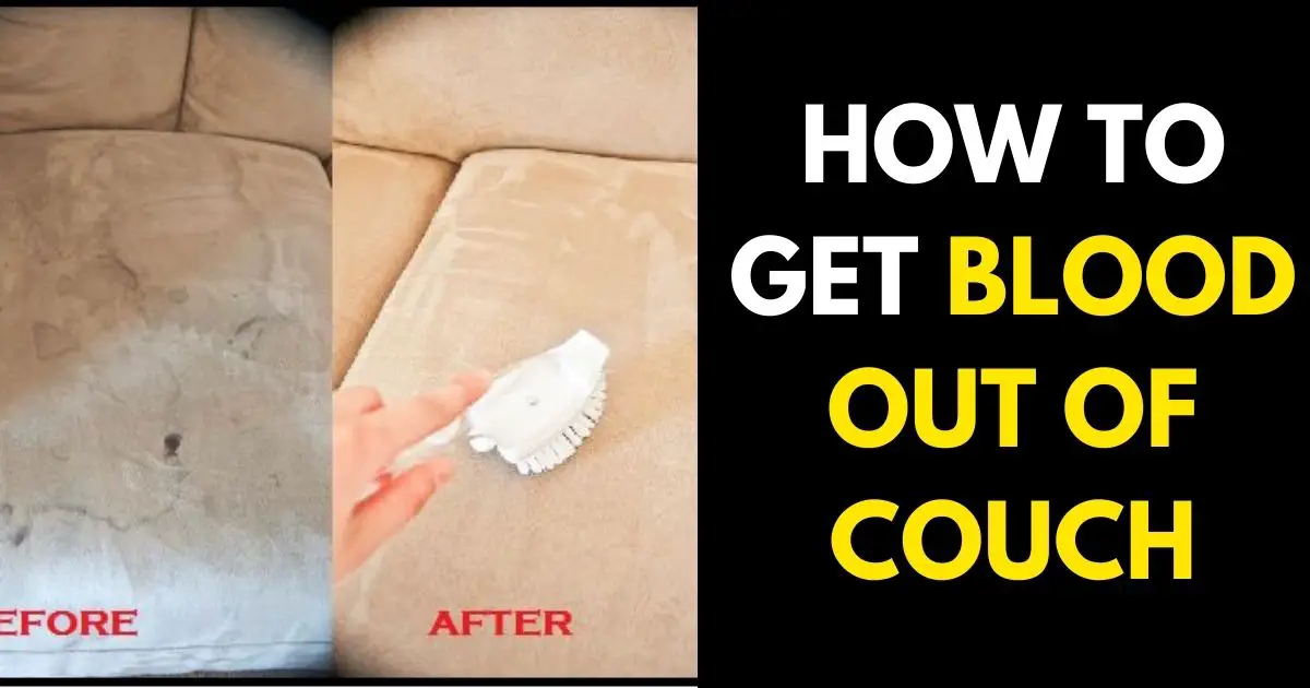 How to Get Blood Out of Couch