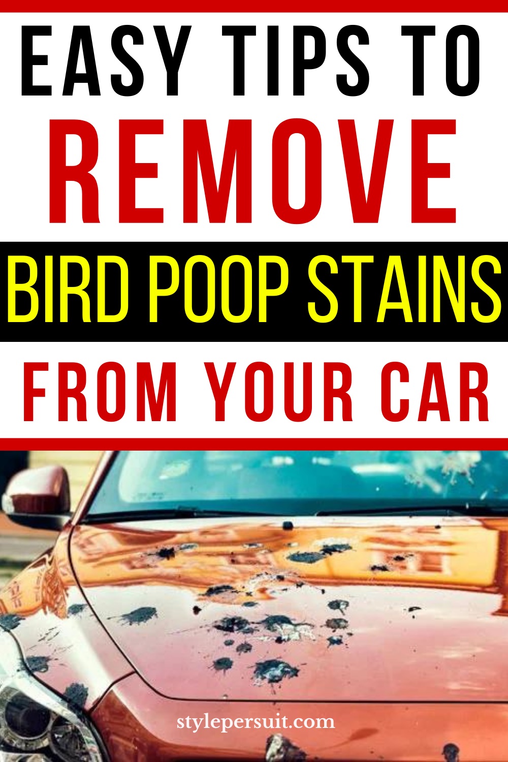 Easy Ways to Remove Bird Poop Stains From Car StylePersuit