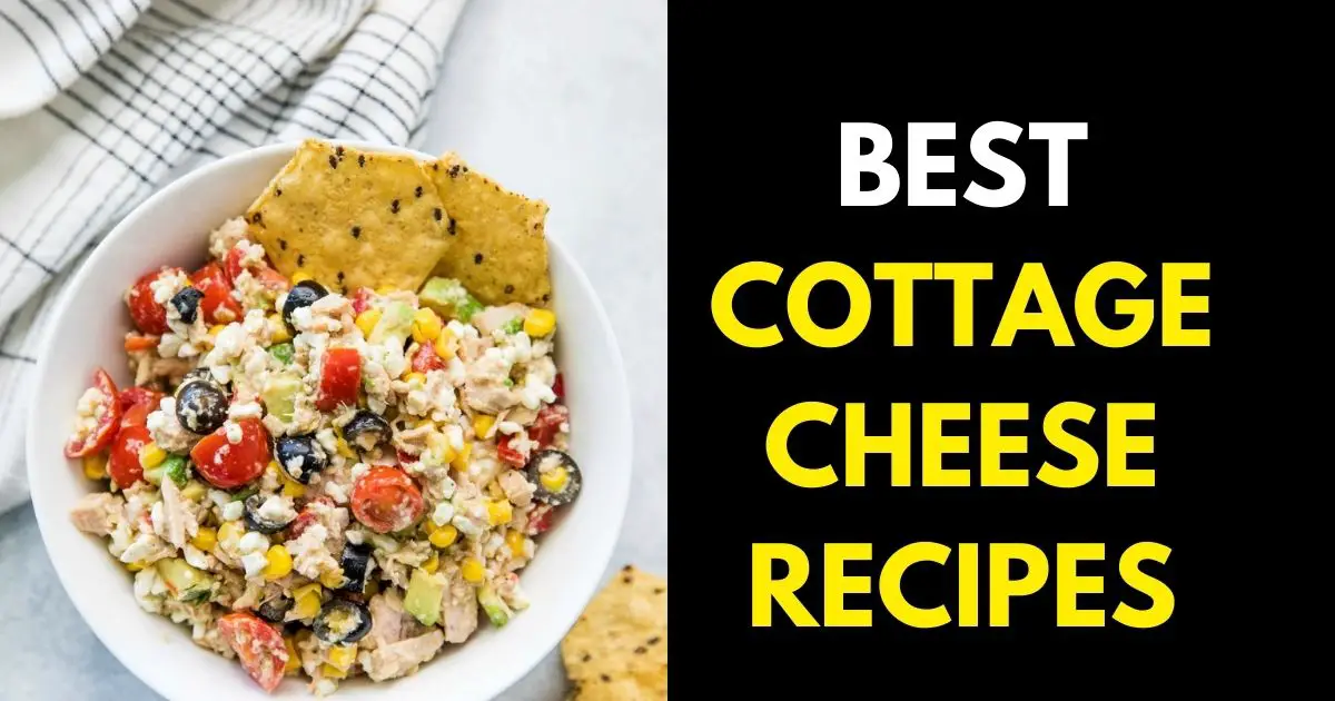 High Protein Cottage Cheese Recipes