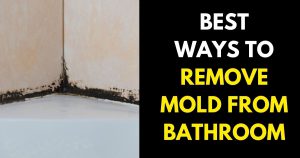 How to Remove Mold from Your Bathroom - StylePersuit