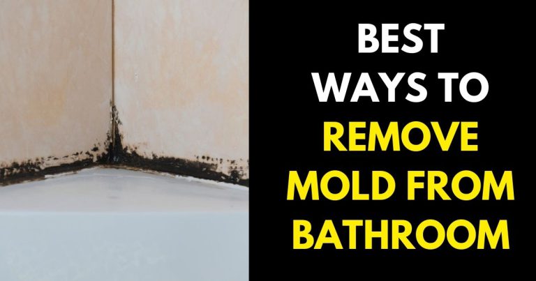 How to Remove Mold from Your Bathroom - StylePersuit