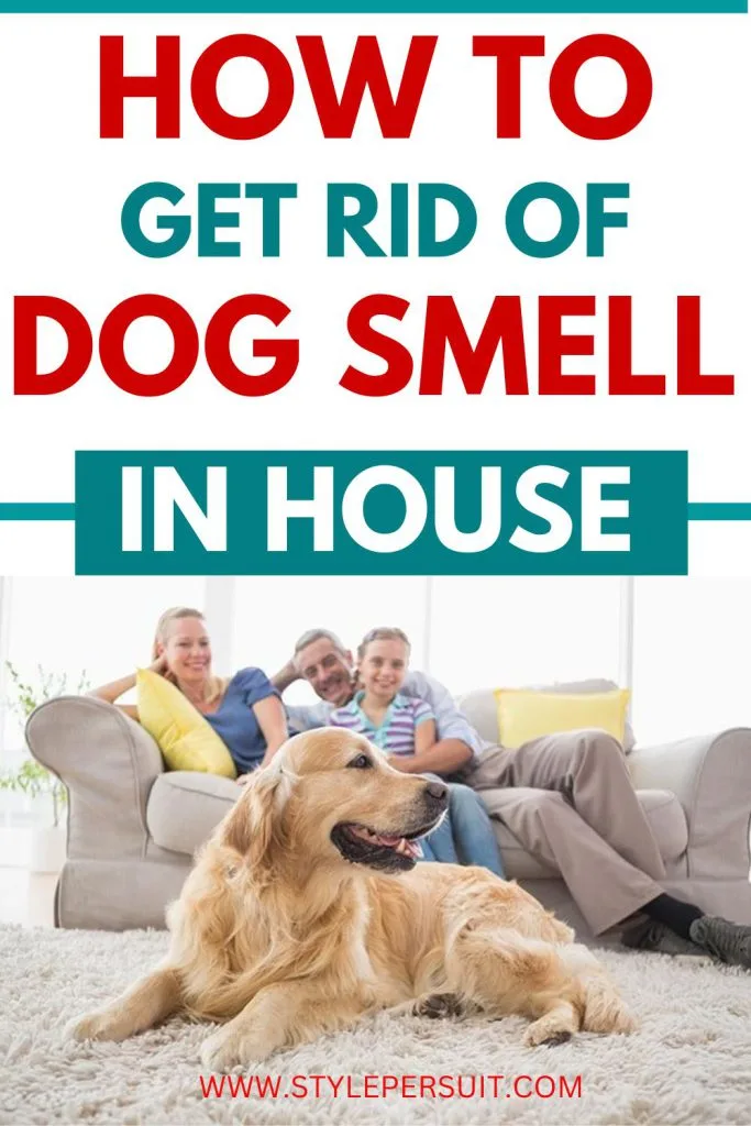 How to Get Rid of Dog Smell in House