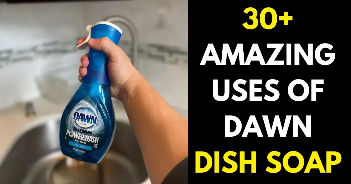Dawn Dish Soap Uses