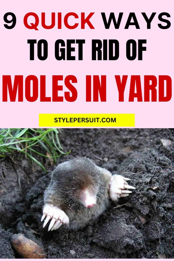 GET RID OF MOLES IN THE YARD