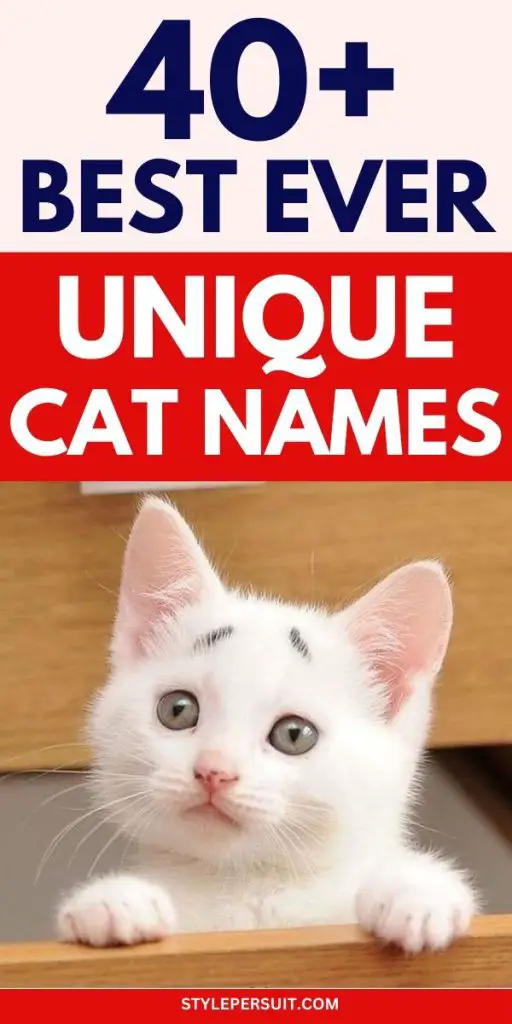 UNIQUE CAT NAMES
