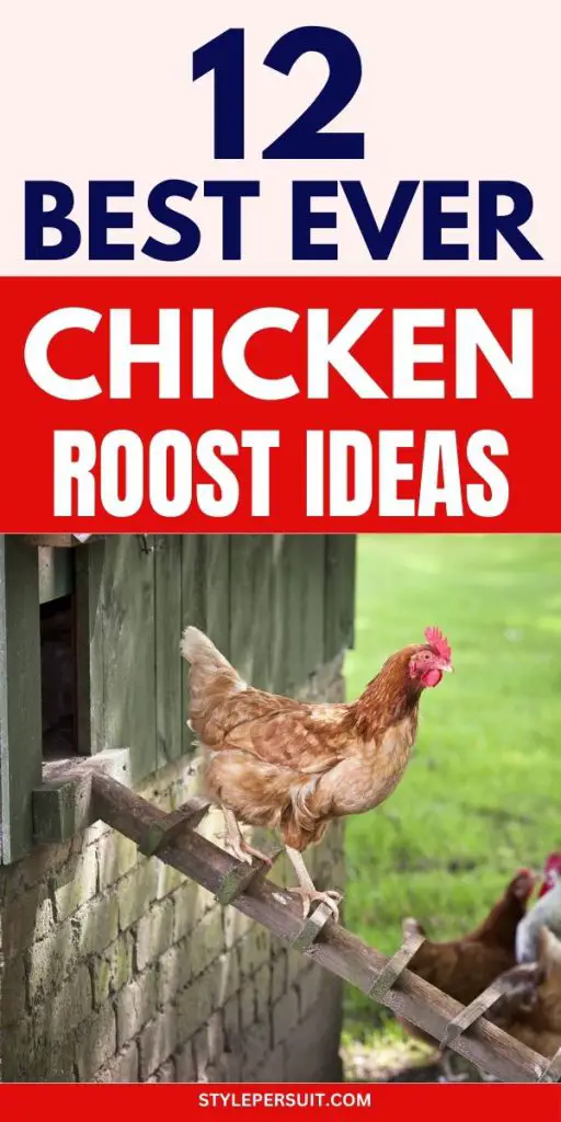 BEST CHICKEN ROOST IDEAS
