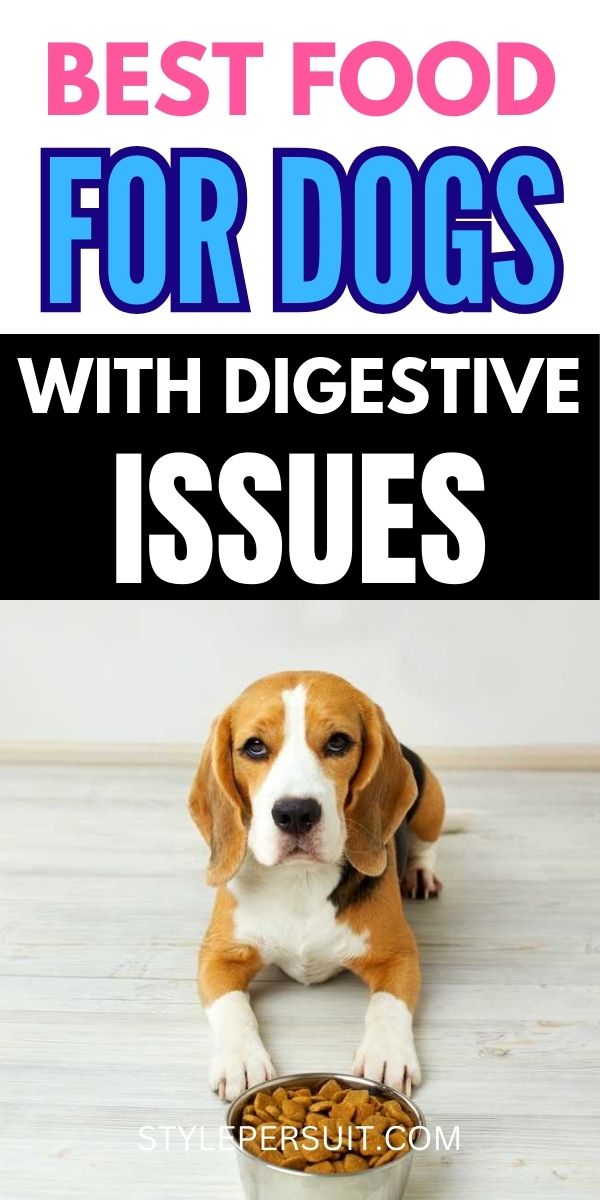 Thumbnail for Food For Dogs With Digestive Issues Prevention