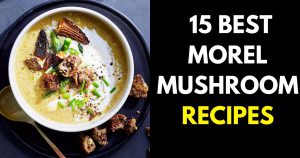 10 Delicious Morel Mushroom Recipes - StylePersuit