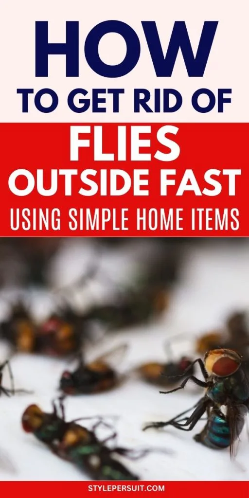 HOW TO GET RID OF FLIES OUTSIDE