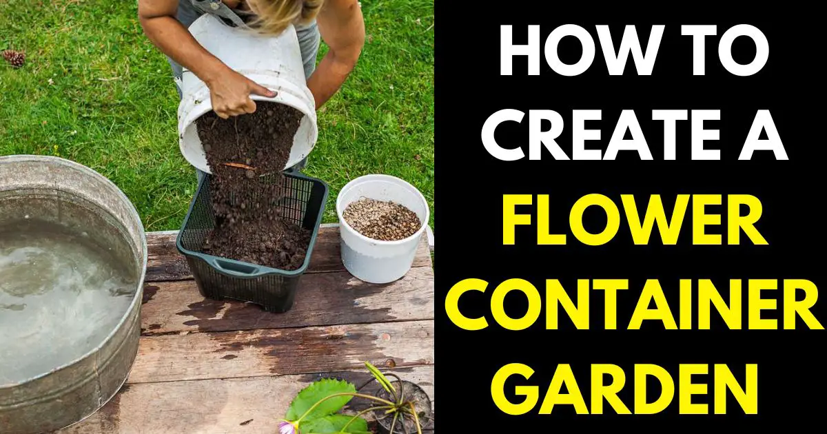 Flower Container Gardens for Beginners