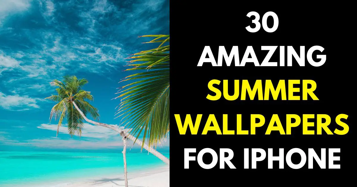 Summer Wallpapers for iPhone