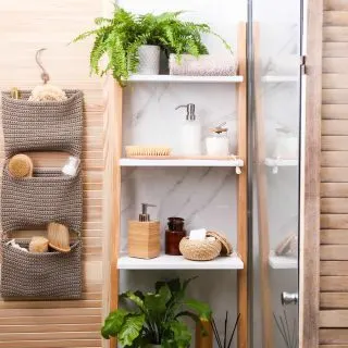 Small Bathroom Storage Ideas