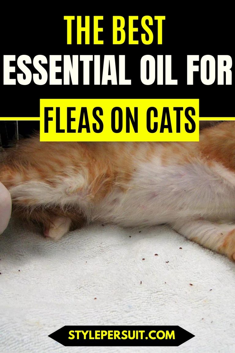Curated visual reference: Visual Reference: Cat Care 101 Essential Oils For Fleas On Cats
