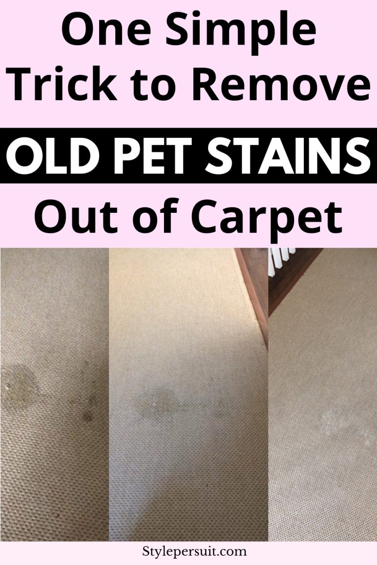 How to Get Old Pet Stains Out of Carpet - StylePersuit