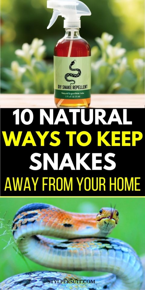 10 Natural Ways to Keep Snakes Away From Your Home - StylePersuit