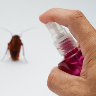 Natural Roach Repellent for Home