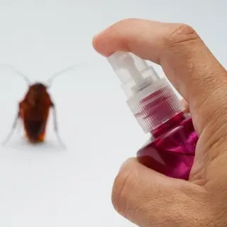 Natural Roach Repellent for Home