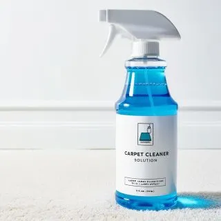 DIY Carpet Cleaner
