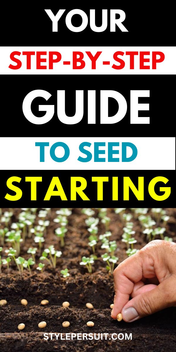 Complete Seed Starting Guide For Beginners - StylePersuit